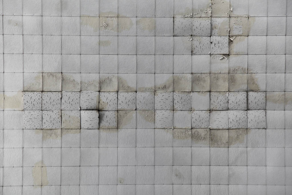 Decay, photograph 1